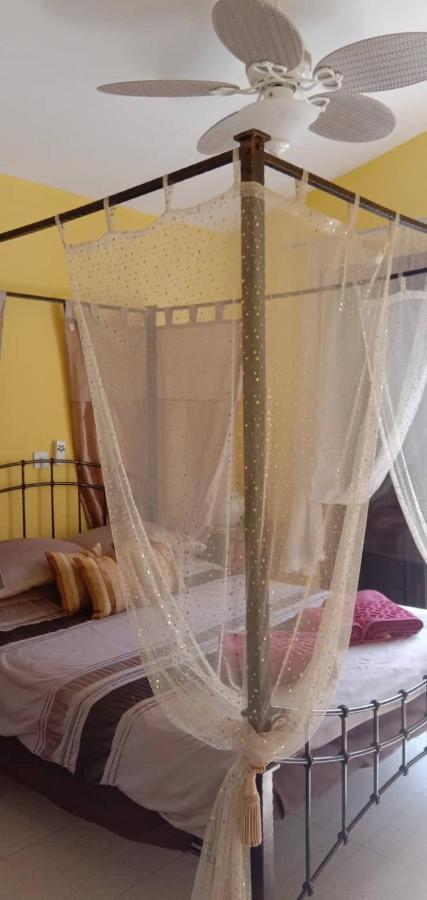 Apartament Pearl